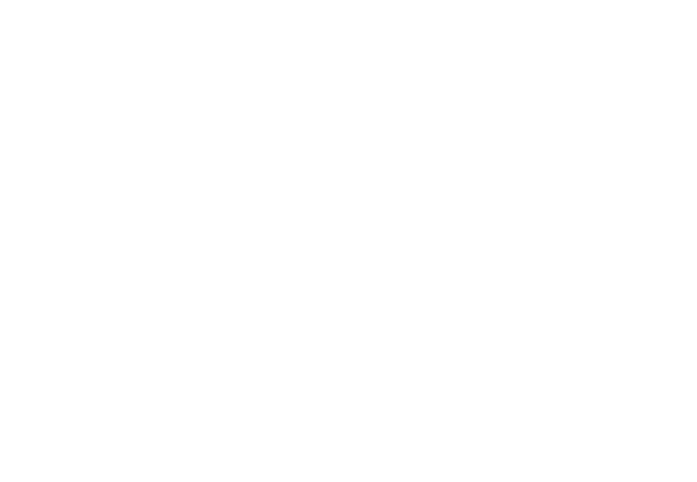 Pro AV Solutions logo