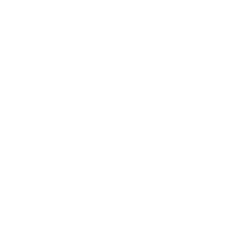 ddir_cloud_white.png logo