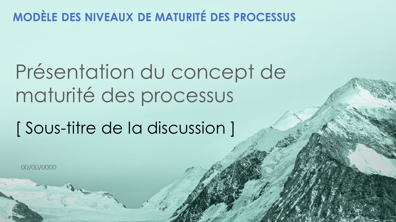 Niveaux de maturité du modèle de maturité des processus