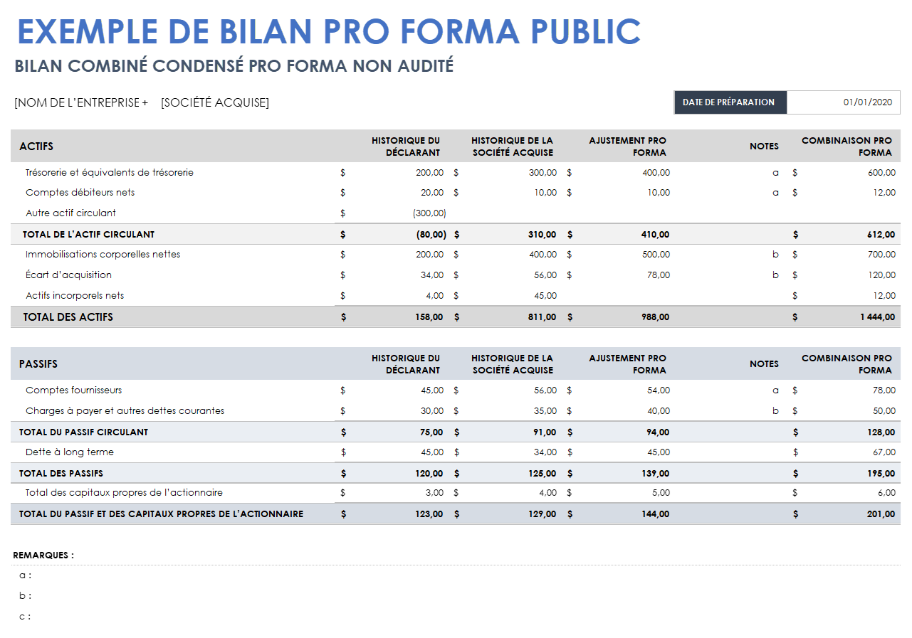  Modèle de bilan d'entreprise publique pro forma