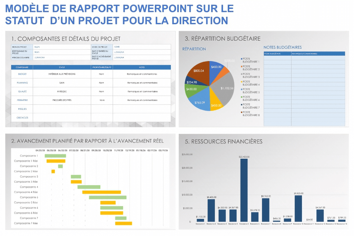  Modèle de rapport sur l'état du projet exécutif