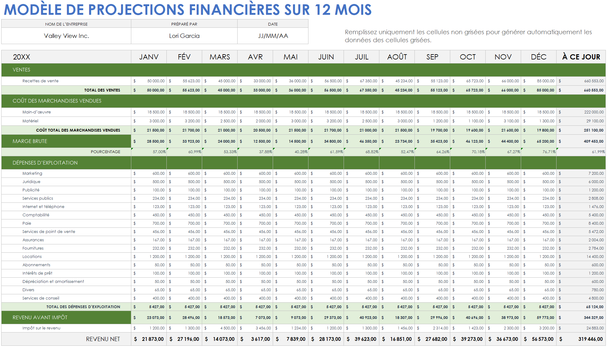  Exemple de modèle de projections financières sur 12 mois