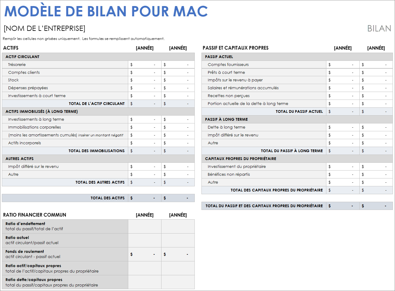 Modèle de bilan pour Mac