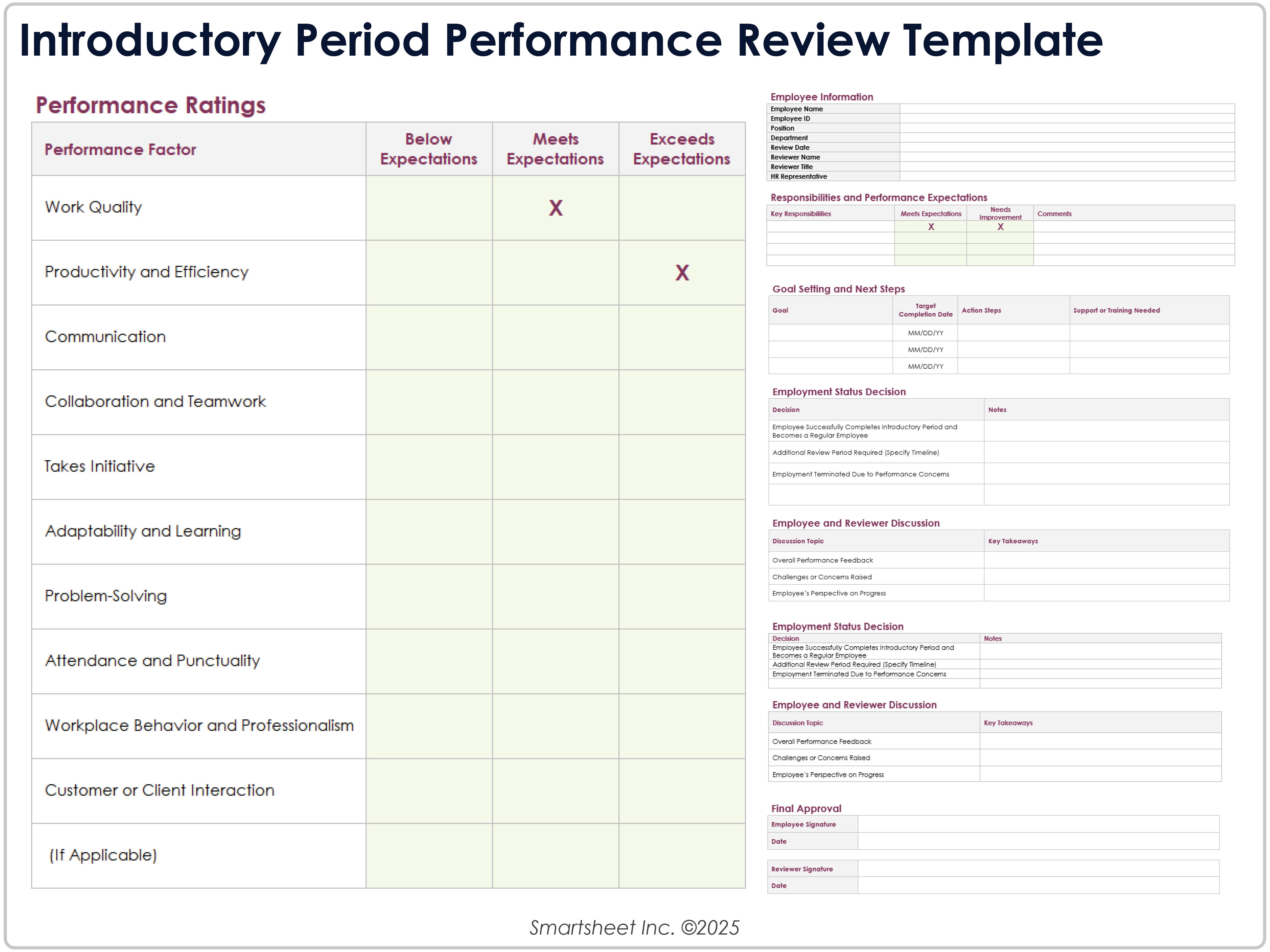 Introductory Period Performance Review Template
