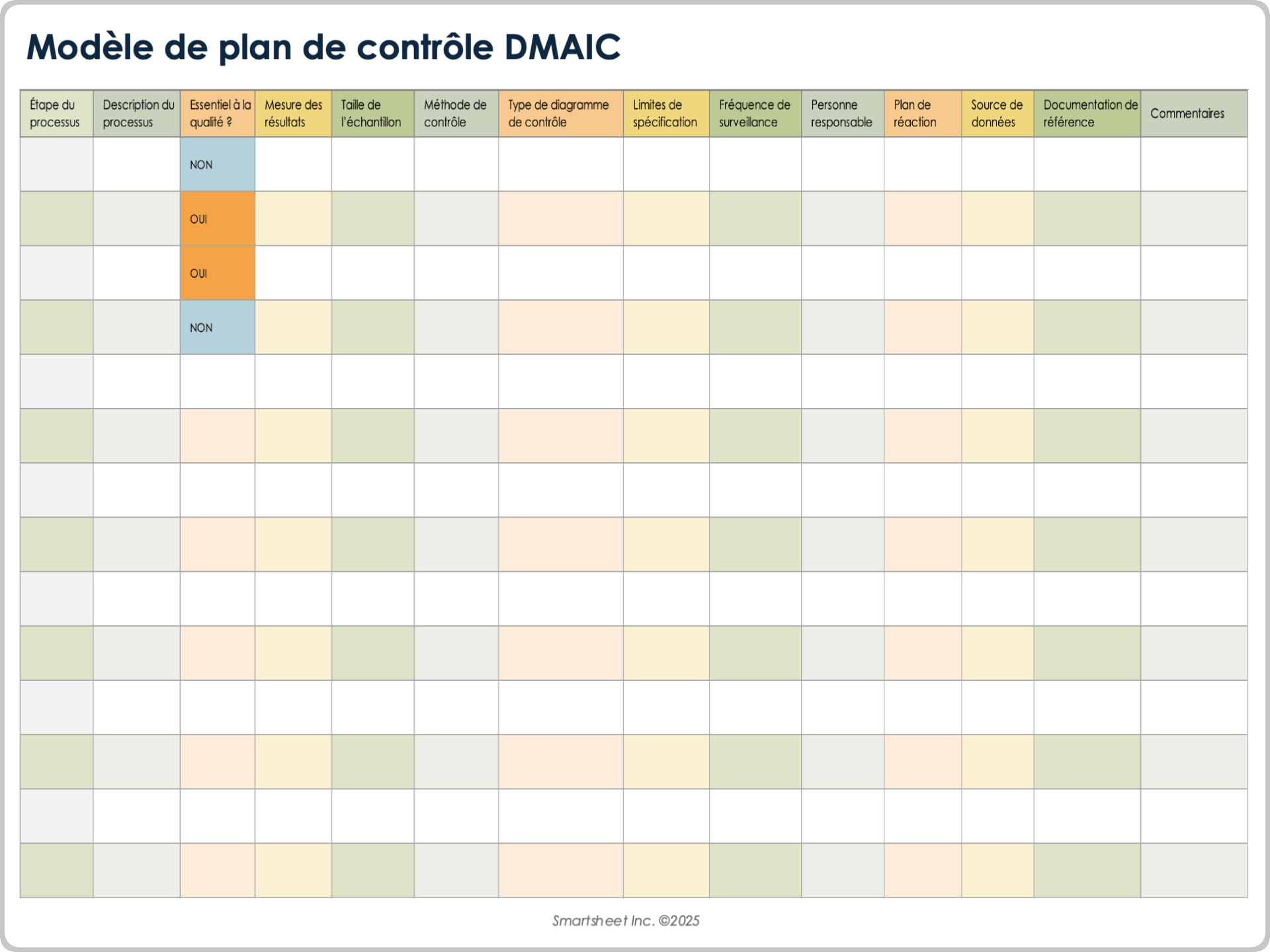 Modèle de plan de contrôle DMAIC