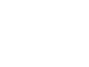 TaskForce-logo1.png logo
