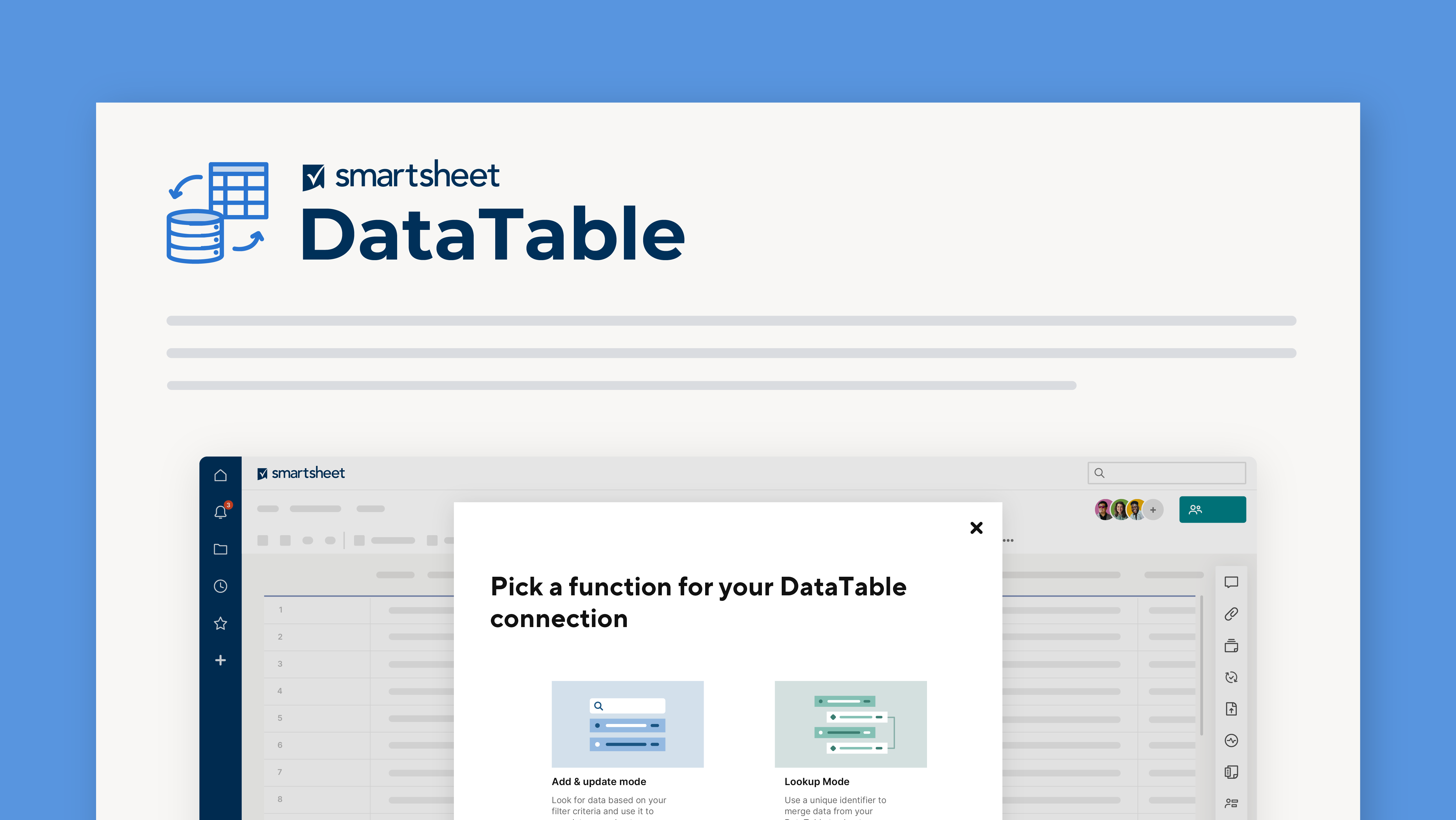 DataTable Datasheet Image