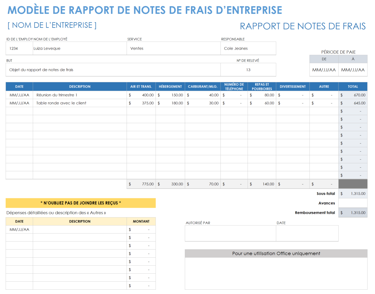 Rapport de dépenses professionnelles