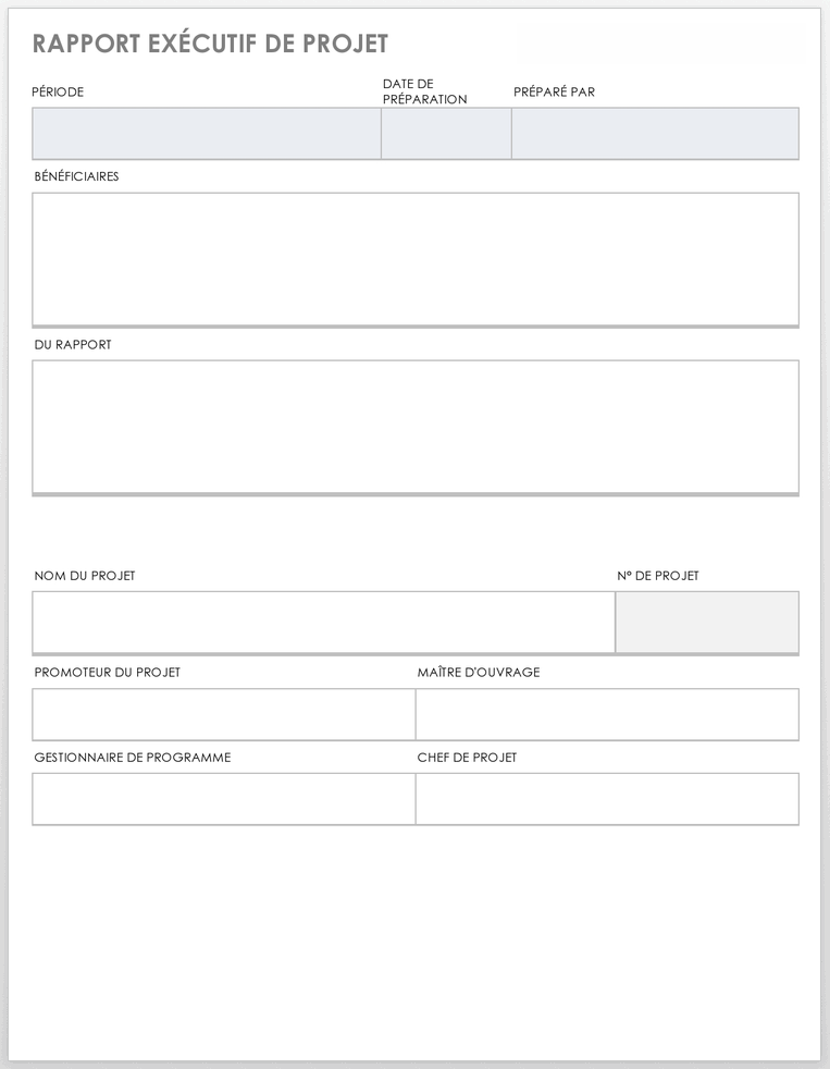 Modèle de rapport de projet exécutif