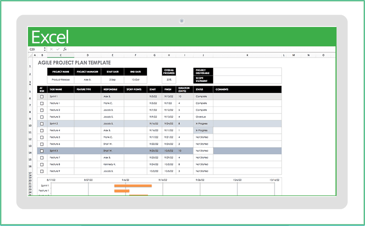 Project management format xls