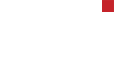 Tsi Logo2023.Whitereddot logo